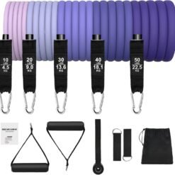 Resistance Band Kit with Handles & Door Anchor – Bulk Fitness Supplier
